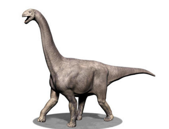 El Turiasaurus, el mayor dinosaurio que habitaba por Europa. Foto Quo