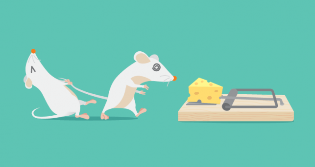 Cómo nuestros cerebros deciden qué aprender