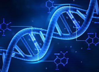 cualquiera puede diseñar ADN