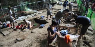 un hallazgo que podría reescribir un los libros de la evolución. Y es que los arqueólogos descubrieron una nueva especie humana en Filipinas.