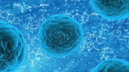 Células madre son creadas a partir de células de la piel